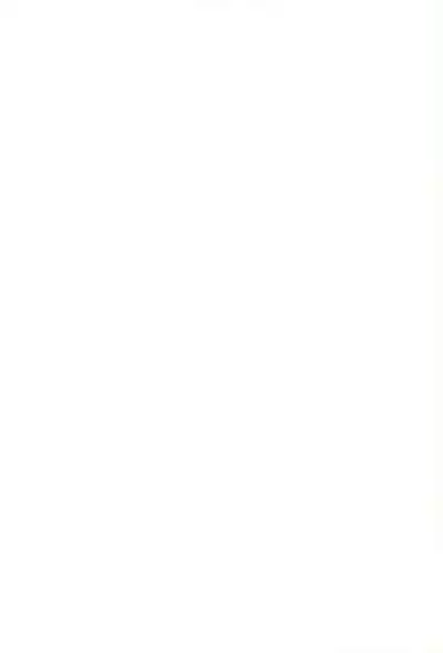 Yonku Yuugi Maki no Ni