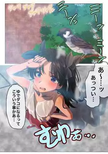 [Yanagie Terasu] [ShiRin] Natsu no Emiya-tei (Fate/stay night)