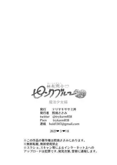 [Teriyaki Sasami Donburi (Teriyaki Sasami)] Seiran Senshi Pink Blue