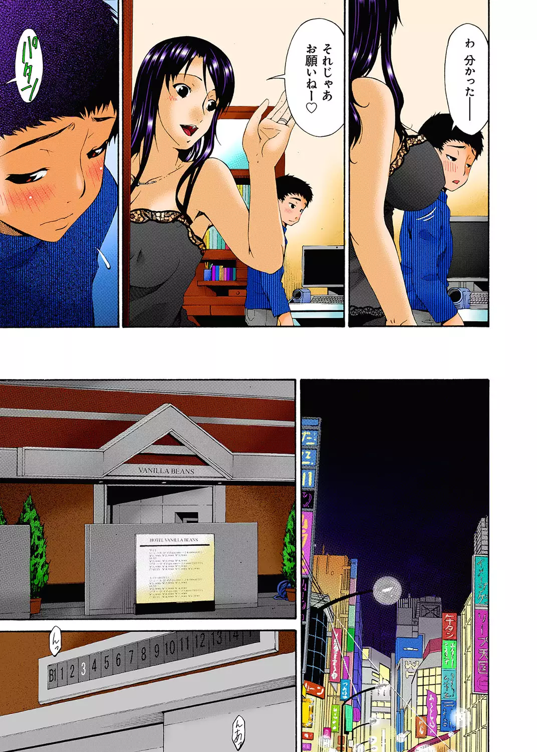 Hametorare full color