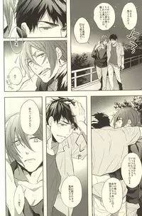 (C88) [Giselle (Rinkoyo)] Subete o ○○ no Sei ni Shite (Free!)