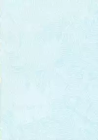 (C77) [Yappari Ao ga Suki (Uni-corn)] Tadashii Hajimete no Nakushikata (Touhou Project)