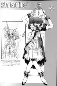 (CR29) [HQ's, UNIT-RB (Kajiyama Hiroshi)] A WORKS THIRD Injuu Genmu Another Story Project File