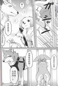 (Kansai! Kemoket 7) [Kaiten ParaDOGs (Diga Tsukune)] Usotsuki Tachi no " " | 讹言者们的“ ” [Chinese] [兔屋汉化组]