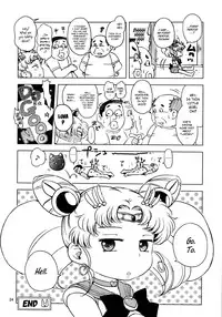(C83) [Hitsuji Drill (Ponpon Itai)] Chibiusa no Himitsu Diary (Bishoujo Senshi Sailor Moon) [English]