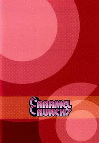 (Reitaisai 12) [CARAMEL CRUNCH! (Rikatan)] Flan-chan no Oshiete A, B, C (Touhou Project) [Chinese] [脸肿汉化组]