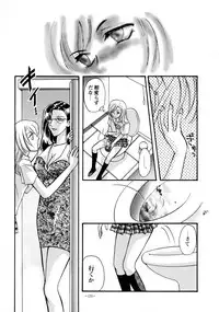 (CR23) [METAL (Various)] Rougetsu Toshi - Misty Moon Metropolis COMIC BOOK VIII