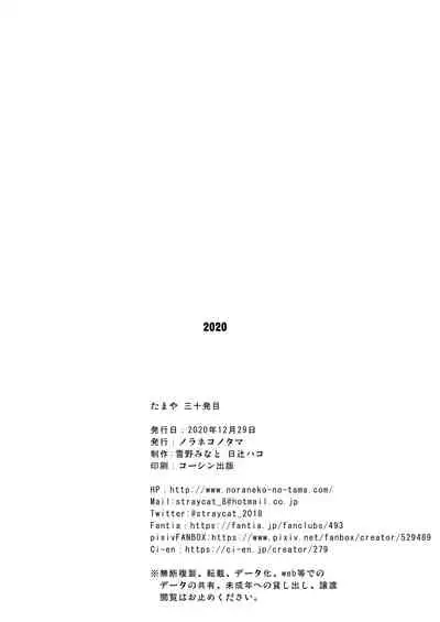 たまや 三十発目