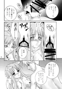 (COMIC1☆2) [Almond Republic (Aimirucha)] Ookami no Full Course (Spice and Wolf)