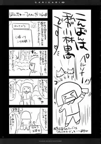 (C83) [Alemateorema (Kobayashi Youkoh)] GARIGARI49 (Touhou Project)