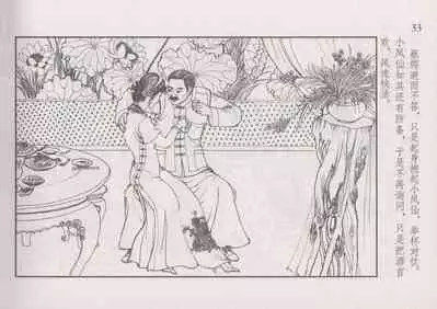 史上名妓 风尘侠女-小凤仙（辜国兴 2013年11月）