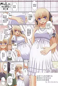 (C79) [Shiawase Kyouwakoku (Shiawase no Katachi)] Katashibu Full Color 35-shuu [Chinese] [Birtwishtle]