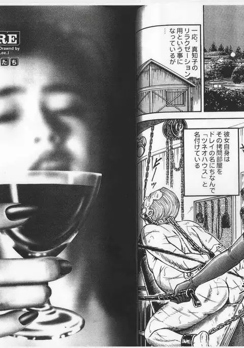 コミックマゾ 6 暗藻ナイト