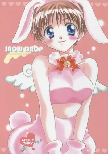 (C55) [Gyaroppu Daina, Kusse (Narita Rumi, Senami Rio)] SNOW DROP (Neon Genesis Evangelion)