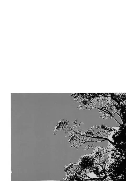 Issho ni Nete mo Ii desu ka? | May I sleep with you