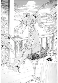 [DPP] usuyami Twillight's Last Gleaming (nadesico)