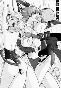 [Pururun Estate] DOA2 shunka soushuuban tokoton rez [DOA]