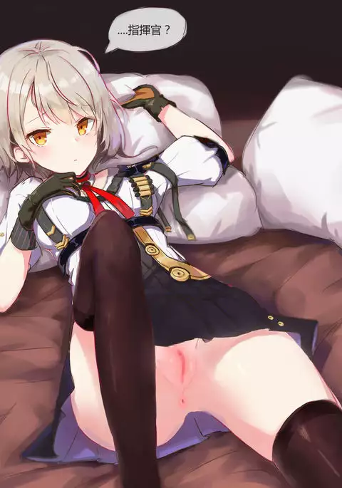 Vector组图 + 摄影