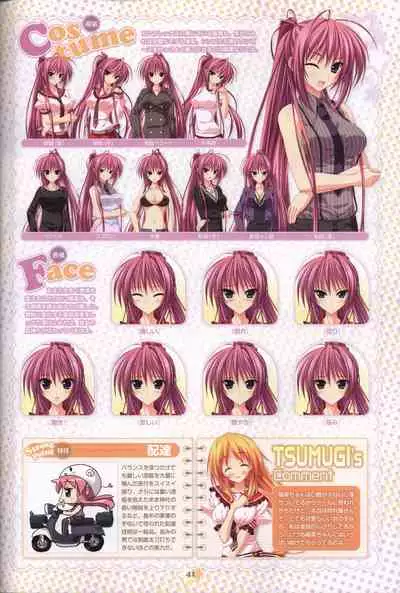 Hoshizora e Kakaru Hash visual fanbook