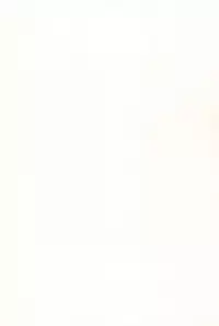 (C93) [EX35 (Kamaboko RED)] Denki no Chikaratte Sugee! (Bakusou Kyoudai Let's & Go!!) [Chinese] [罗洁爱儿个人汉化]