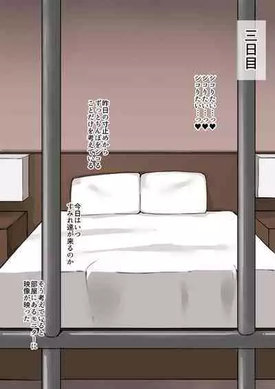 kanojo netorase issyuukan