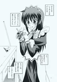 (C73) [RED RIBBON REVENGER (Makoushi, Taireru)] Maid-san tachi no Junan (Hayate no Gotoku!)