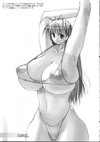 (C69) [Digital Tambourine (hiiaru)] AbfaIL (Various)