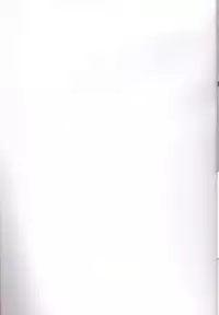 (C88) [Kuma Knights (oguma)] Kirara-chan to Natsuyasumi no Taiken (Go! Princess PreCure)