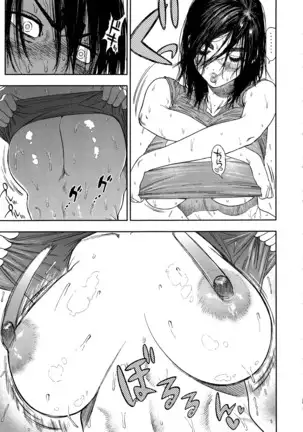 Koisugi | 코이스기