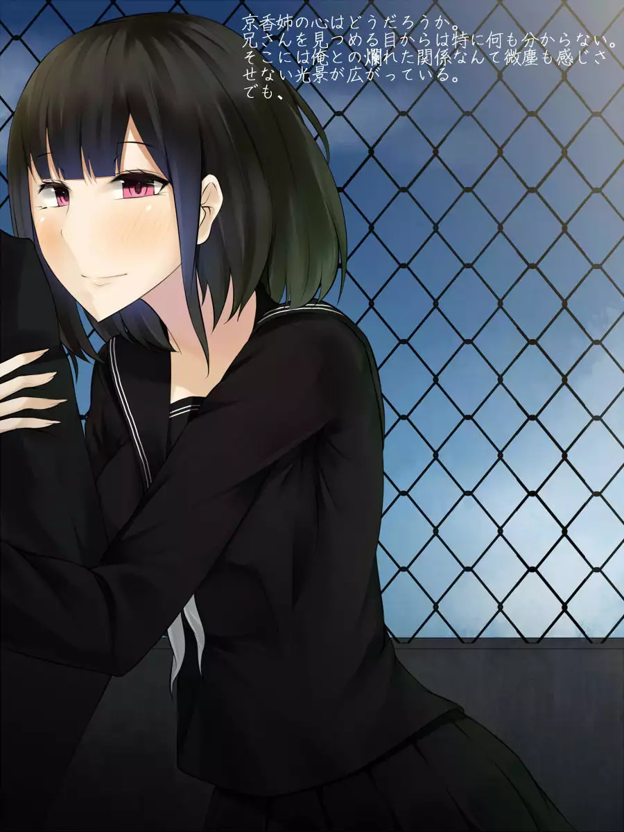 Hatsukoi no Osananajimi wa Ani no Kanojo ~Muboubi ni Nemuru Kanojo o Muriyari Netotta Ore~