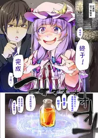 (Reitaisai 11) [Shirokurousa (Sugiyuu)] Honey x Honey (Touhou Project) [Chinese] [靴下汉化组]