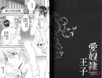 [Chitose Piyoko] IDOREI PRINCE | 愛奴隸王子 [Chinese]