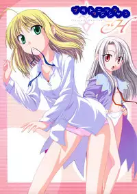 (C67) [Jishou Seijunha (Hiroyuki)] PLATONIC MAGICIAN H (Fate/stay night)