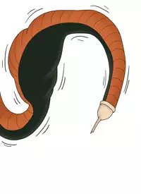 セルの丸呑み吸収