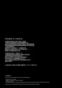 (C89) [NANIMOSHINAI (Sasamori Tomoe)] Succubus Stayed Life 3 [Chinese] [空気系☆漢化]