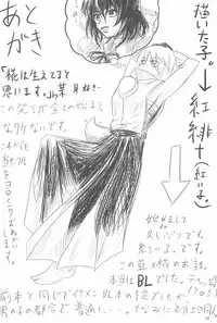 (Mimiket 19) [P.S.D! (Karin)] Touhou Ran Ranryuu (Touhou Project)