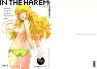 (C81) [Shoujo Kishidan (Oyari Ashito)] IN THE HAREM A SIDE (THE iDOLM@STER) [English]