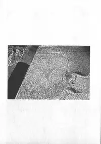 [Yamamoto Atsuji] Hon-Pi-Fu Vol.3