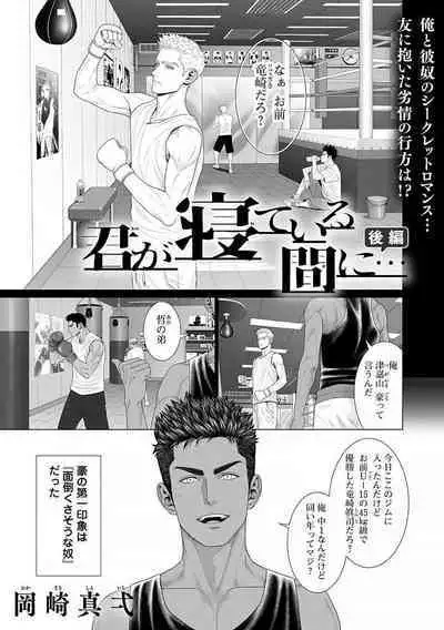 Kimi ga Neteiru Aida ni... Zenpen+Kouhen