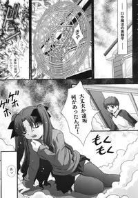 (C67) [Studio Wallaby (Takana Yu-ki)] SECRET FILE NEXT 11 - Fate is capricious (Fate/stay night)
