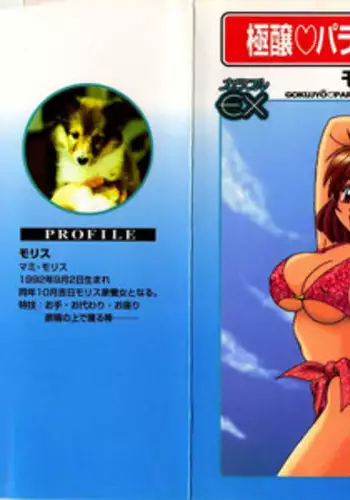 [Morris] Gokujyou Paradise 2