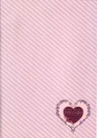 (C80) [D.N.A.Lab. (Miyasu Risa)] STRIPE WITCH's PINKSHOW (Touhou Project)