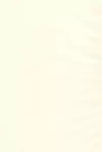 (iDOLPROJECT 4) [STUDIO FATALITY (Yanagie)] Let it Roll (THE iDOLM@STER)