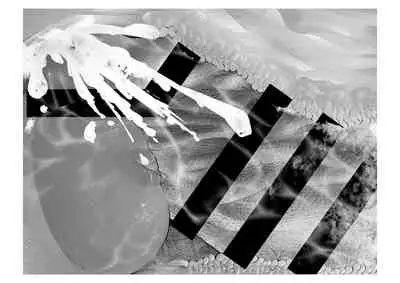 [Tsuchikuda Material] -Asakura Touru- Migawari Kyousei Mesu Kobi (THE iDOLM@STER: Shiny Colors) [Chinese] [不咕鸟汉化组]