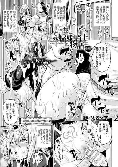 Reizoku hime kishi monogatari