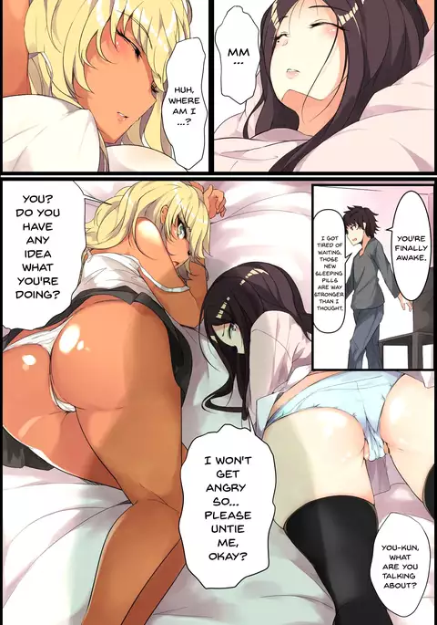 Aneochi 3-nin no Ane o Choukyou Shita Kiroku