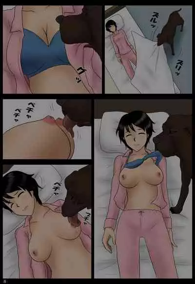 Azukatta Inu | 寄养的狗