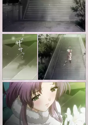 Tsuma Shibori Kanzenban