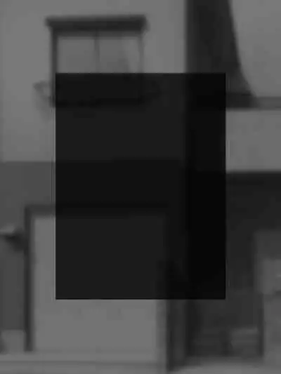 DVD hason no owabi ni okāsan o sashide shitara mechakucha ni ryōjoku sa rete mesu inu no honshō ga bare chatta