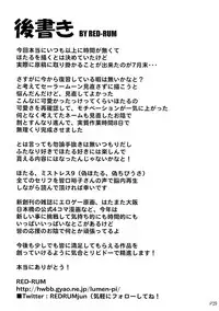 (C82) [Doronuma Kyoudai (RED-RUM, Mr. Lostman)] Dokin (Sailor Moon)